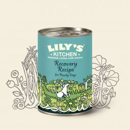 LILY'S KITCHEN Recovery Recipe for Poorly Dogs