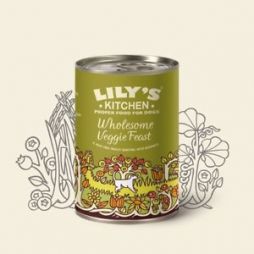 LILY'S KITCHEN Wholesome Veggie Feast 400g