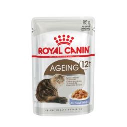 ROYAL CANIN Ageing 12+ in Jelly