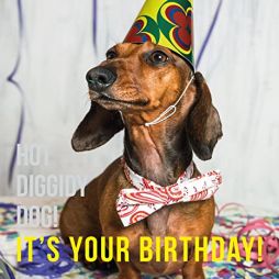 Hot Diggidy Dog! It's Your Birthday - Birthday Card