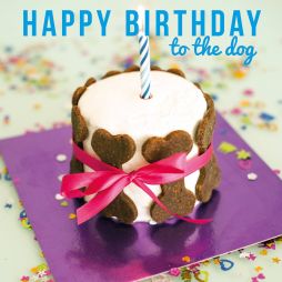 Happy Birthday to the Dog - Birthday Card